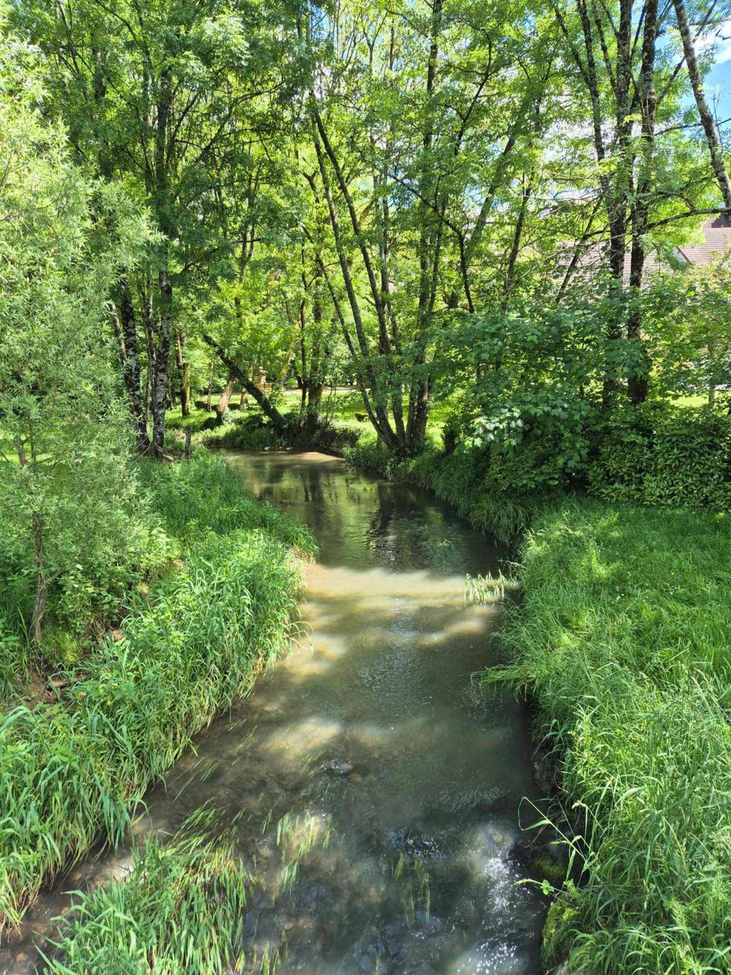 Au Lavoir Du Serein "L'Eventail" Saint-Germain-les-Arlay Luaran gambar